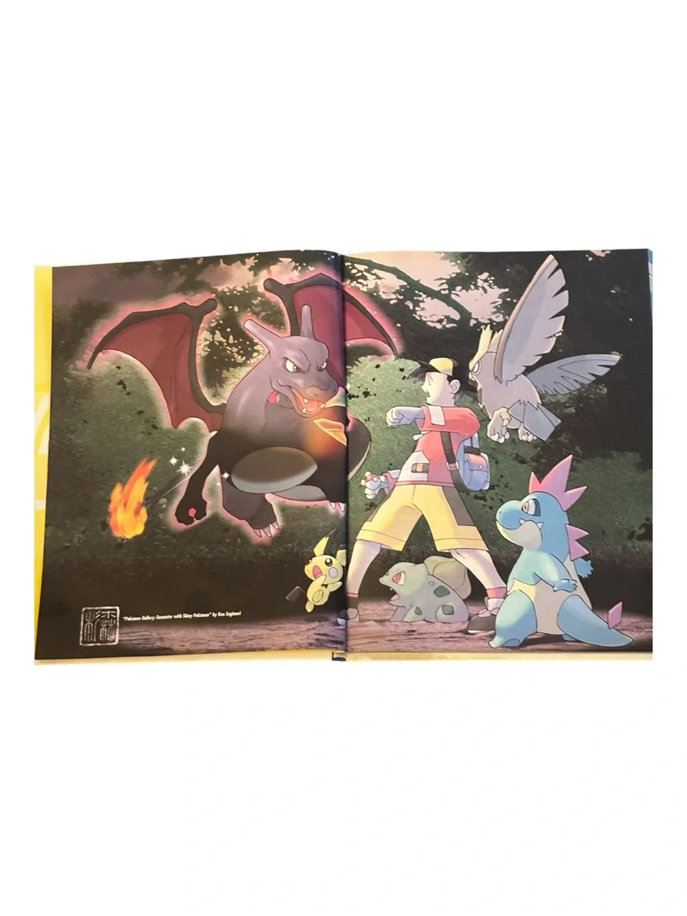 Pokémon Collector's Edition Complete Pokédex - great condition 2006